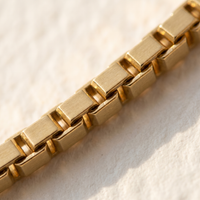 Thumbnail for Box Chain Anklet
