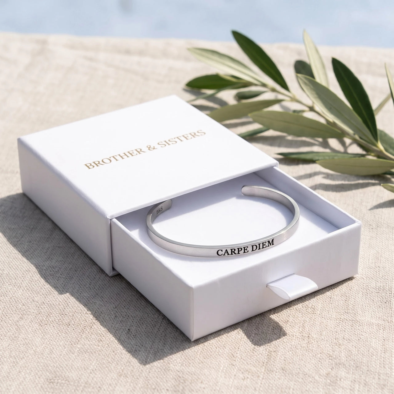 Carpe diem armband — in de cadeaudoos, zilver | SKU: cp-rg