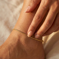 Thumbnail for Dainty Snake Anklet