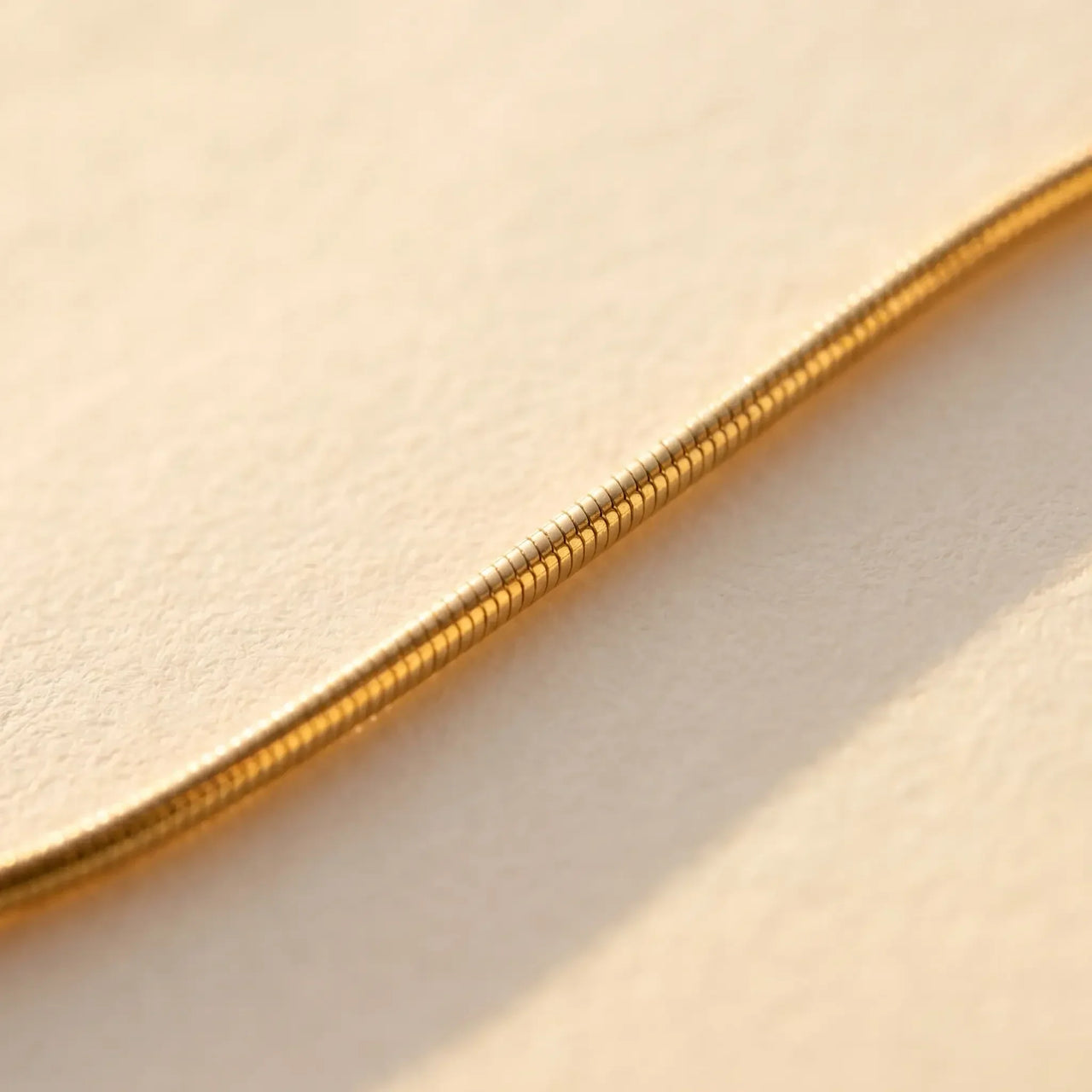 Dainty Snake Anklet