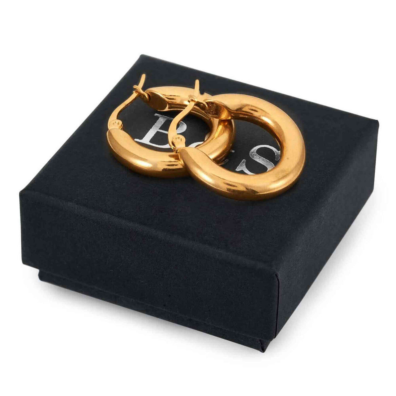 The Shiny - Gold Earrings - Gold Hoop Earrings - Gold Hoops - Women's Earrings Earrings Brother & Sisters